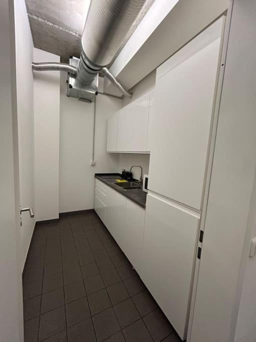 Elbapartment 29 Qm Mit Eigenem Badezimmer هامبورغ المظهر الخارجي الصورة